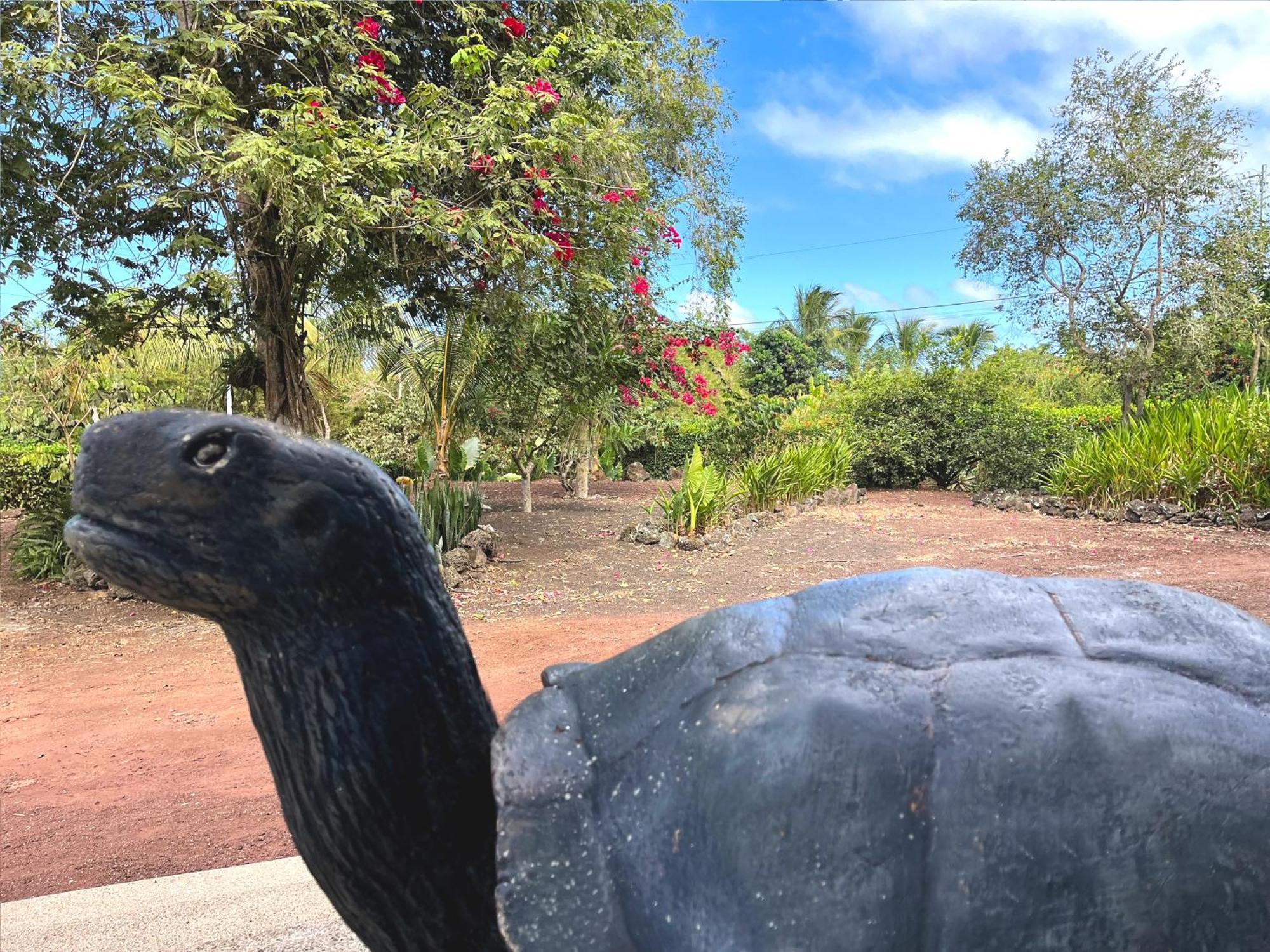 Hotel Tortuga Bay - Galapagos Пуерто-Айора Екстер'єр фото